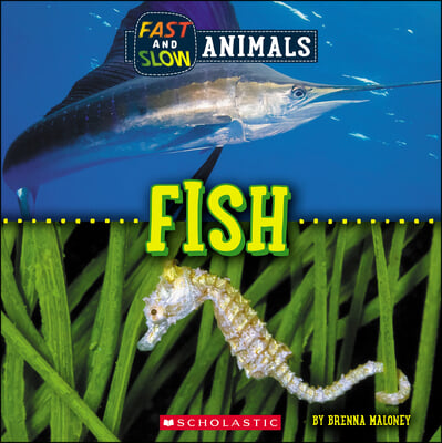 Fish (Wild World: Fast and Slow Animals)