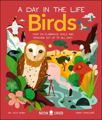 Birds (a Day in the Life): What Do Flamingos, Owls, and Penguins Get Up to All Day?
