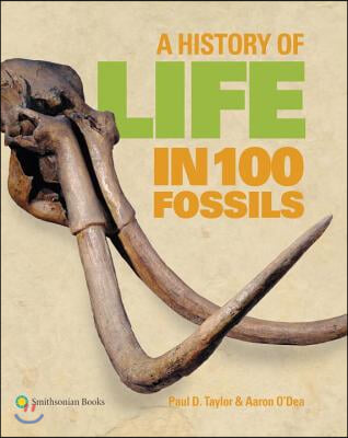 A History of Life in 100 Fossils