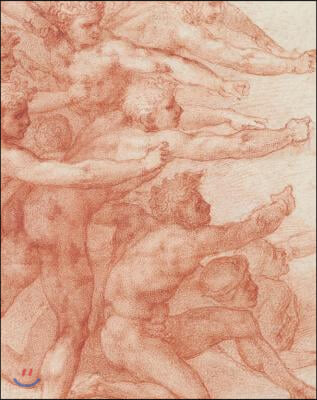 Michelangelo: Divine Draftsman and Designer