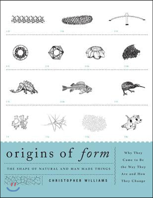 Origins of Form: The Shape of Natural and Man-made Things-Why They Came to Be the Way They Are and How They Change