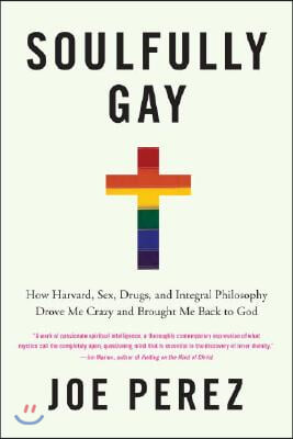 Soulfully Gay: How Harvard, Sex, Drugs, and Integral Philosophy Drove Me Crazy and Brought Me Back to God