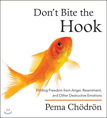 Don&#39;t Bite the Hook: Finding Freedom from Anger, Resentment, and Other Destructive Emotions