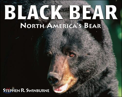 Black Bear: North America&#39;s Bear