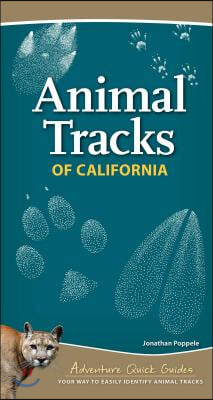 Animal Tracks of California: Your Way to Easily Identify Animal Tracks