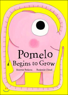 Pomelo Begins to Grow