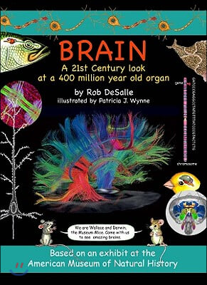 Brain: A 21st Century Look at a 400 Million Year Old Organ Volume 2