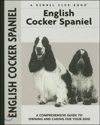 English Cocker Spaniel