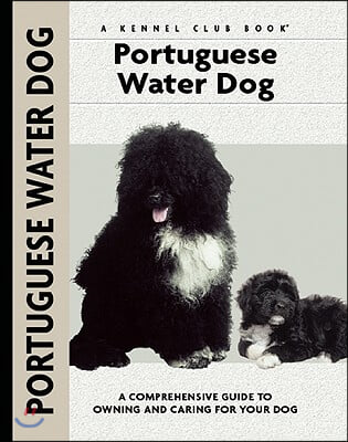 Portuguese Water Dog