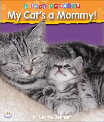 My Cat&#39;s a Mommy!