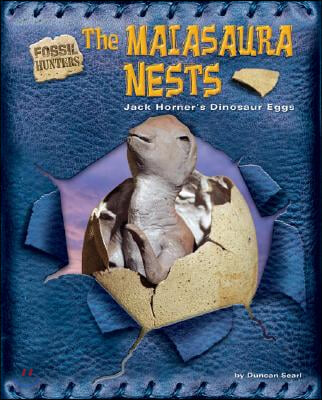 The Maiasaura Nests: Jack Horner&#39;s Dinosaur Eggs