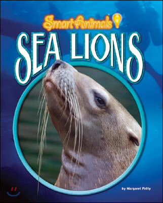 Sea Lions