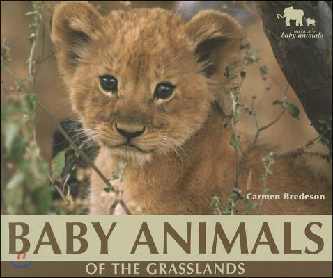 Baby Animals of the Grasslands