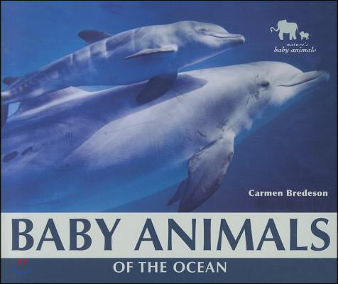 Baby Animals of the Ocean