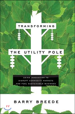 Transforming the Utility Pole: Using Innovation to Disrupt Commodity Markets and Fuel Sustainable Business