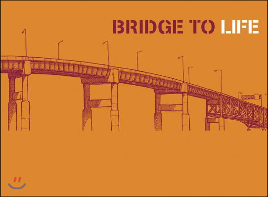 Bridge to Life Tract