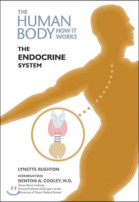 The Endocrine System