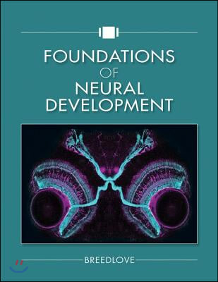 Foundations of Neural Development