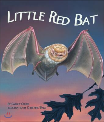 Little Red Bat