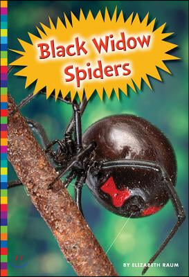 Black Widow Spiders