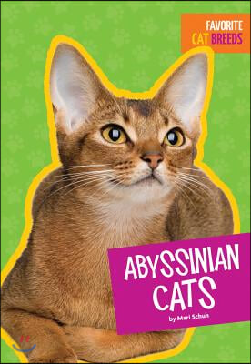 Abyssinian Cats