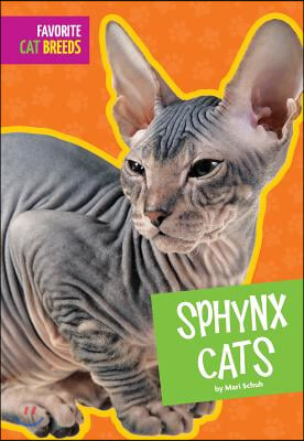 Sphynx Cats