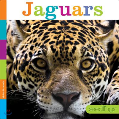 Jaguars