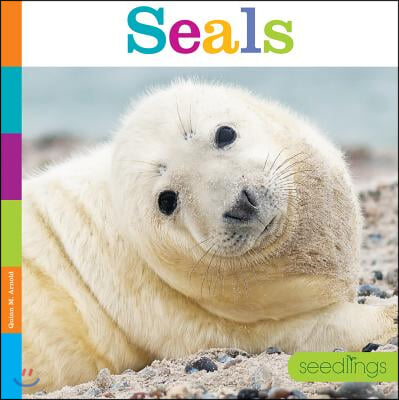 Seals