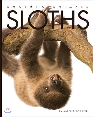 Sloths