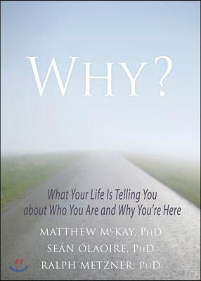 Why?: What Your Life Is Telling You about Who You Are and Why You're Here