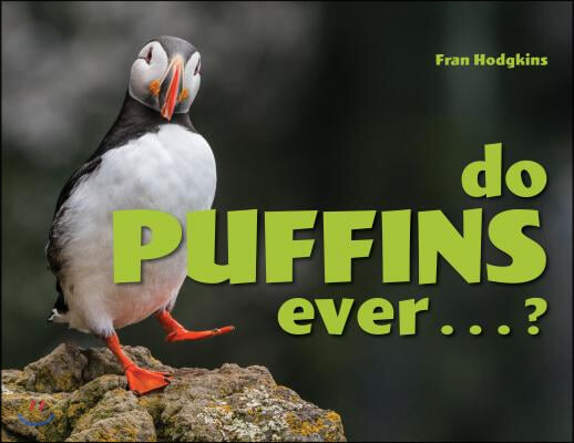 Do Puffins Ever . . .?