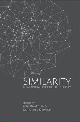 Similarity: A Paradigm for Culture Theory