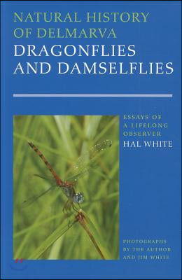 Natural History of Delmarva Dragonflies and Damselflies