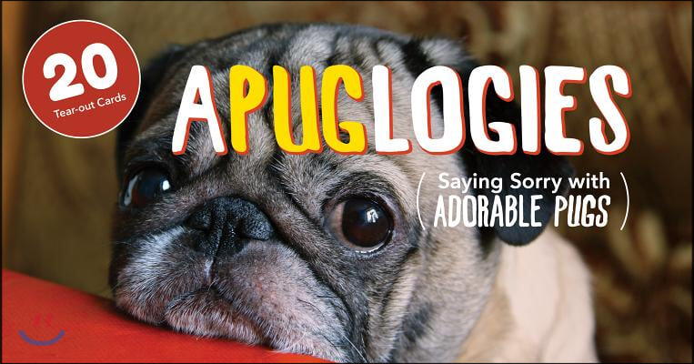 Apuglogies: Saying Sorry with Adorable Pugs