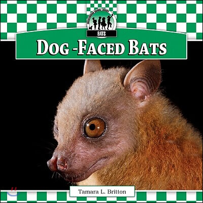 Dog-Faced Bats