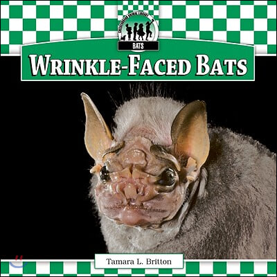 Wrinkle-Faced Bats