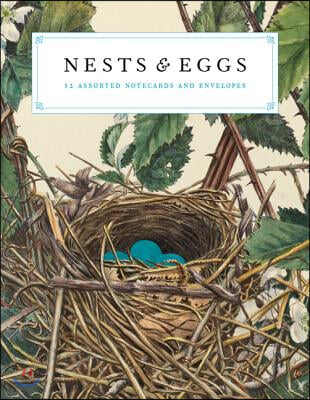 Nests and Eggs Notecards