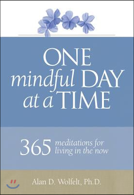 One Mindful Day at a Time: 365 Meditations on Living in the Now