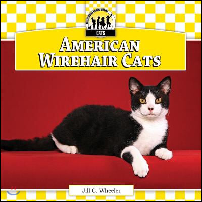 American Wirehair Cats