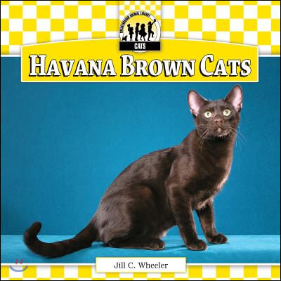 Havana Brown Cats