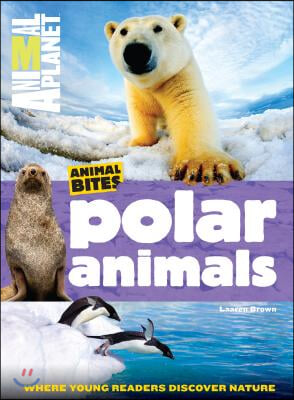 Polar Animals