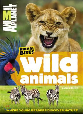 Animal Planet Wild Animals