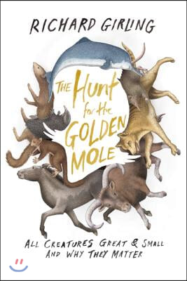 The Hunt for the Golden Mole: All Creatures Great & Small and Why They Matter