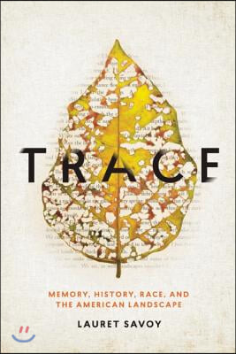 Trace: Memory, History, Race, and the American Landscape