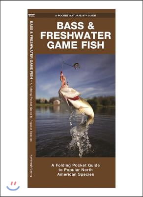 Bass &amp; Freshwater Game Fish: A Folding Pocket Guide to Popular North American Species