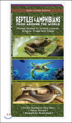 Reptiles & Amphibians from Around the World