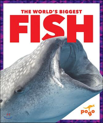 The World&#39;s Biggest Fish