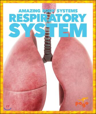 Respiratory System