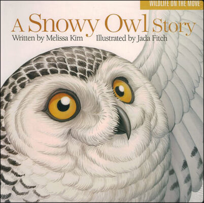 A Snowy Owl Story