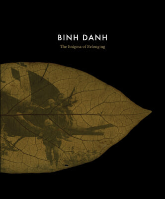Binh Danh: The Enigma of Belonging